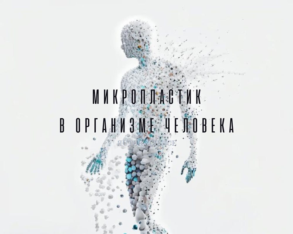 Медиа-фотография