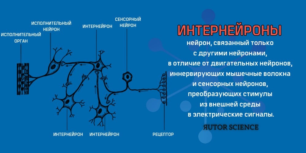 Медиа-фотография