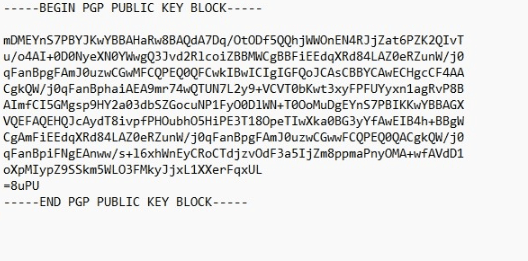 Public key (or Public key/Public key)